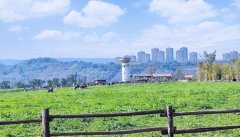 霜冻有哪些特征霜冻是一种什么