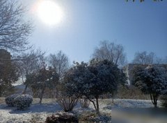 “三九见3象新坟遍地起指的啥？