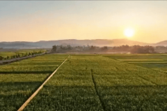 推深做实田长制织密织牢网楚雄市耕地及子午经