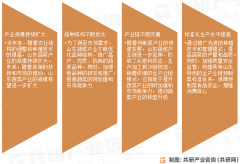 2025年中国蔬菜的领头羊“山东”沉点数据阐发：