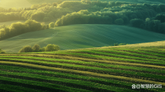 农业景不雅设想：美学取生态价值的双沉提拔之