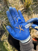 县农业农村分析办事核心结实开展农做物病虫害