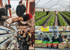 中江县农业农村局结实开展农产质量量 节前平安