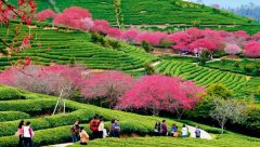 两岸农业：正在互学互鉴中共赢