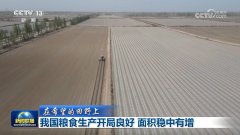 <b>【正在但愿的郊野上】我国粮食出产开局优良 面</b>