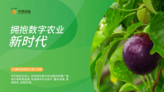 拥抱数字农业新时代 兴攀农场地域担任人打算点