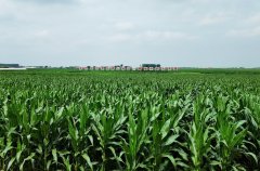 <b>活力中国调研行丨农技立异！聪慧农业蹚出黑土</b>