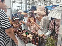 <b>农博会“圈粉” 人才培育激活特色农业新动能</b>